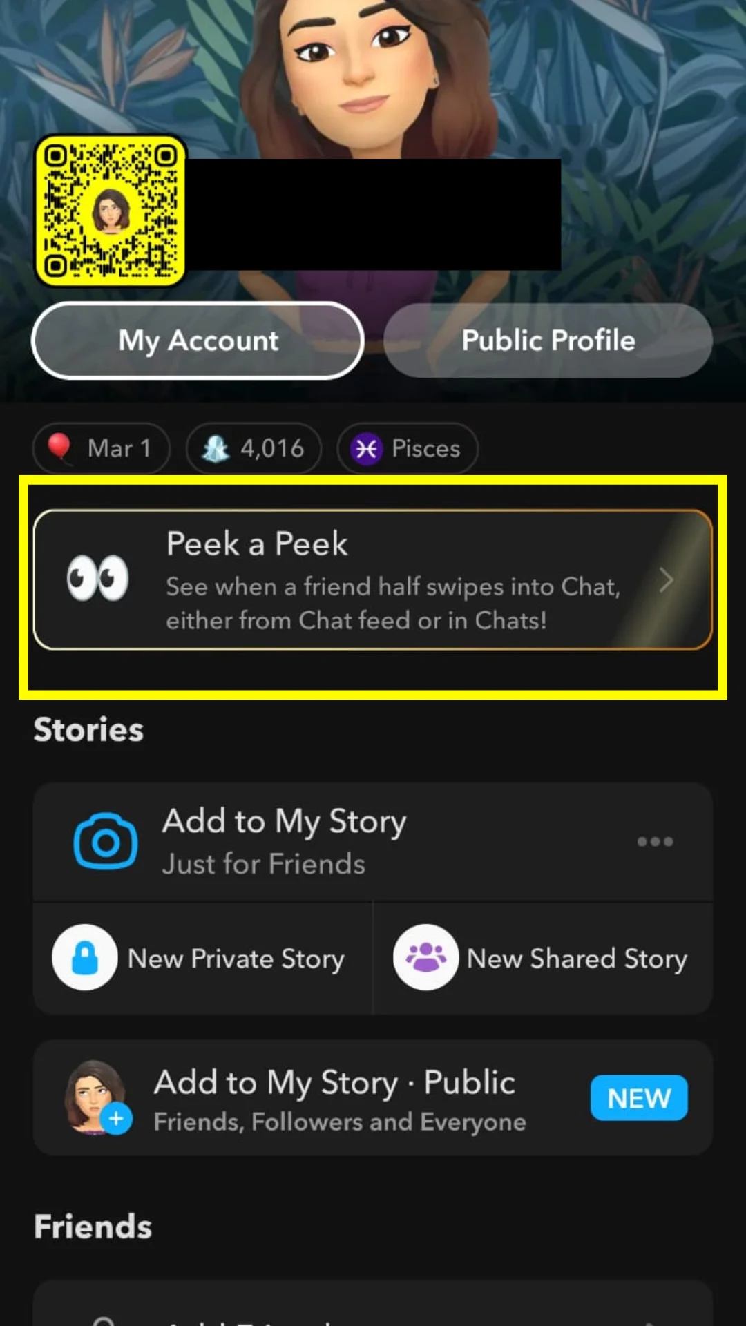 how to subscribe snapchat plus (1)